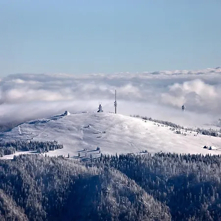 Διαμέρισμα App 2313 - Geniesser-apartment Mit Suedbalkon - Mit Indoorpool Schluchsee